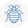 Bed Bug Extermination In Wisbech