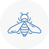 Bee Nest Removal Wisbech
