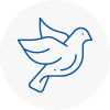 Bird Prevention Wisbech