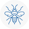 Wisbech Hornet Nest Removals