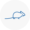 Mice Exterminators In Wisbech