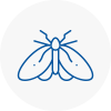 Moth Control Specialists In Wisbech