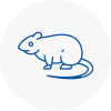 Rat Control Wisbech