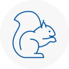 Wisbech Rodent Removals